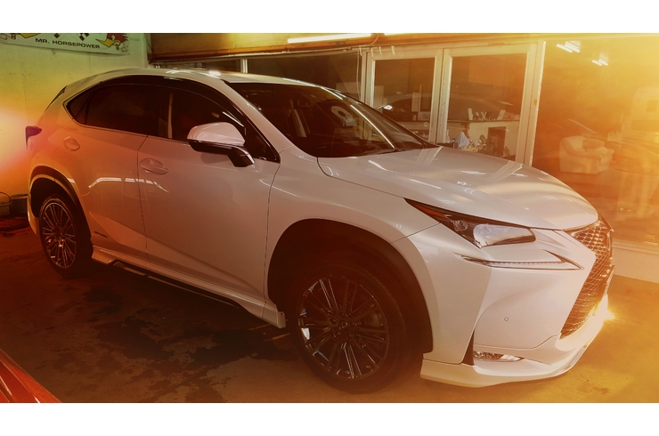 レクサスNX リアルガラスコーティング　カーフィルム